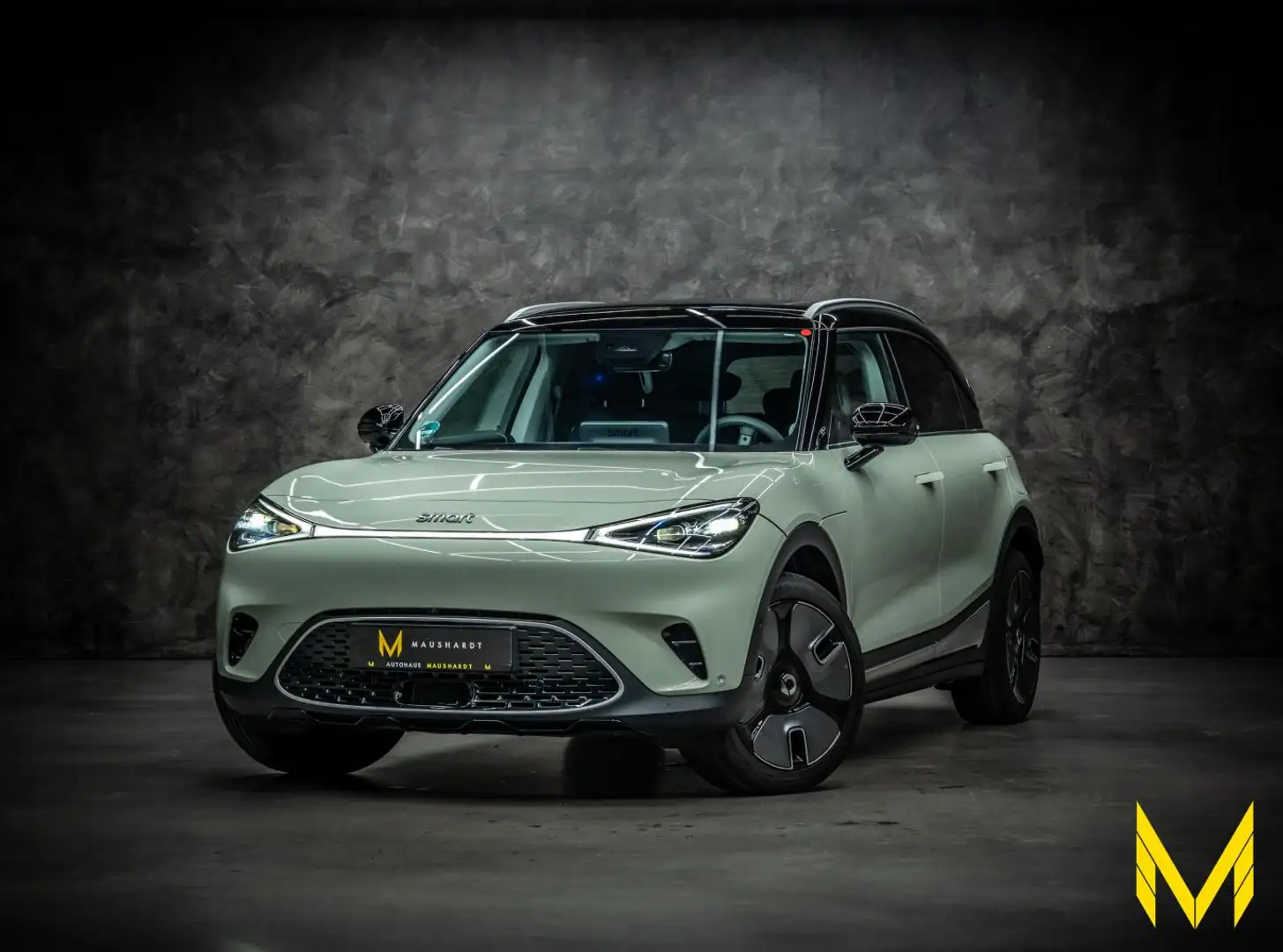 smart #1 Premium #4JAHREGARANTIE #LED #ACC #BEATS #HUD Vert - 1