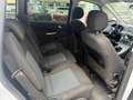 Ford Galaxy Business 1,6 TDCi DPF Start & Stop Weiß - thumbnail 14