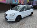 Ford Galaxy Business 1,6 TDCi DPF Start & Stop Weiß - thumbnail 1