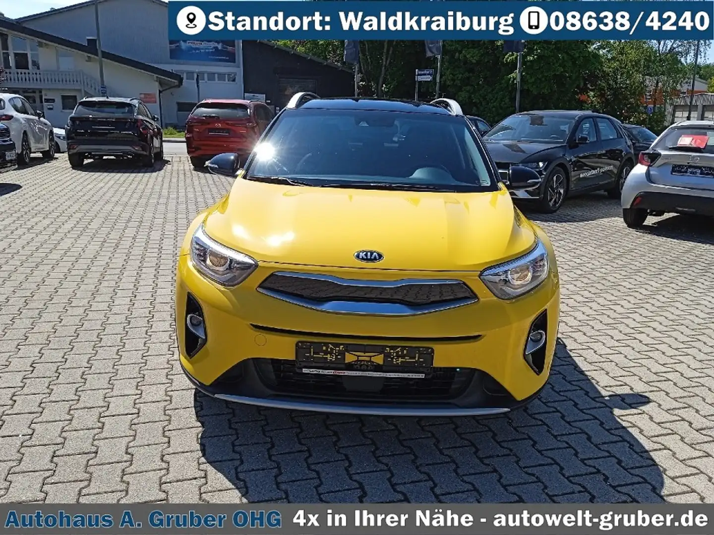 Kia Stonic Platinum Edition+Leder+Navi+Klima+Kamera Jaune - 2