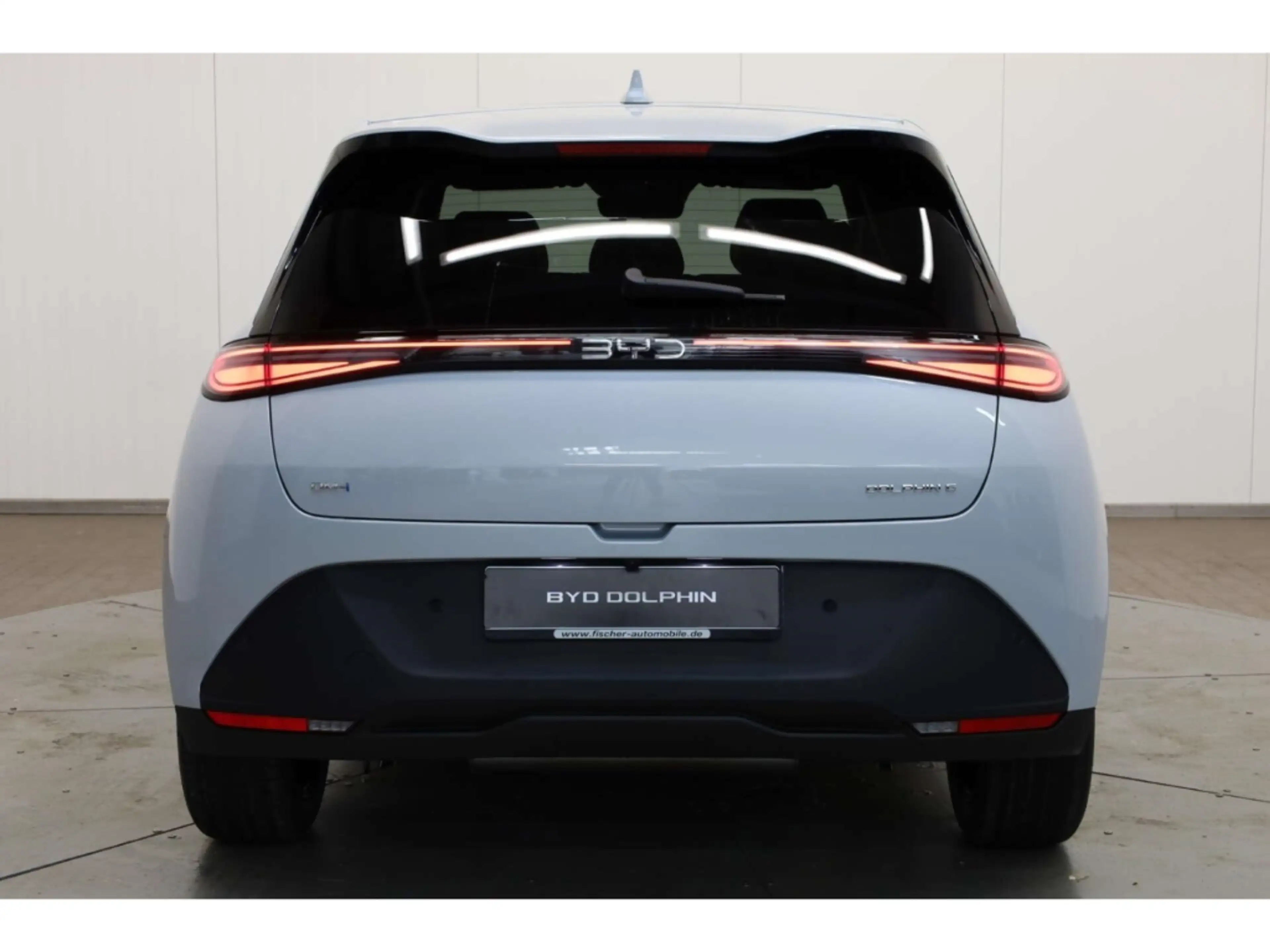 BYD Dolphin G DM-i Comfort — photo 6