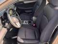 Subaru OUTBACK 2.5i Sport CVT Lineartronic Beige - thumbnail 9