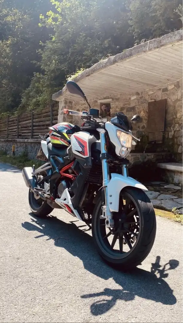 Benelli BN 251 - 1