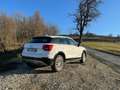Audi Q2 Q2 1.6 tdi Business Bianco - thumbnail 3