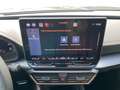 CUPRA Formentor VZ 2.0 TSI DSG Navi+Pano+ACC+AHK+LED MATRIX*ACC*AH Grau - thumbnail 8