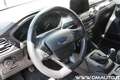 Ford Focus Focus 1.0 ecoboost h ST-Line Blu/Azzurro - thumbnail 13