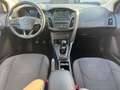 Ford Focus Focus 1.5 TDCi 120 CV Start&Stop SW Titanium - thumbnail 12