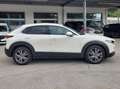 Mazda CX-30 Exclusive-Line 2WD Weiß - thumbnail 6