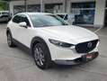 Mazda CX-30 Exclusive-Line 2WD Weiß - thumbnail 7