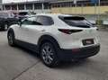 Mazda CX-30 Exclusive-Line 2WD Weiß - thumbnail 3