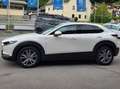 Mazda CX-30 Exclusive-Line 2WD Weiß - thumbnail 2