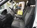 Land Rover Freelander Freelander 2.2 SD4 S.W. S Weiß - thumbnail 9