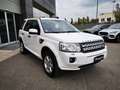 Land Rover Freelander Freelander 2.2 SD4 S.W. S Weiß - thumbnail 3