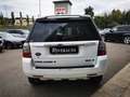 Land Rover Freelander Freelander 2.2 SD4 S.W. S Weiß - thumbnail 6