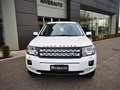 Land Rover Freelander Freelander 2.2 SD4 S.W. S Weiß - thumbnail 2