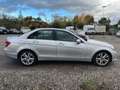 Mercedes-Benz C 220 220 CDI 170ch Avantgarde Executive 7G-Tronic Grau - thumbnail 3