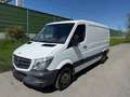 Mercedes-Benz Sprinter 316 NGT Weiß - thumbnail 1