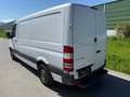 Mercedes-Benz Sprinter 316 NGT Weiß - thumbnail 7