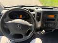 Mercedes-Benz Sprinter 316 NGT Weiß - thumbnail 10