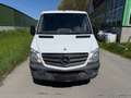 Mercedes-Benz Sprinter 316 NGT Weiß - thumbnail 2