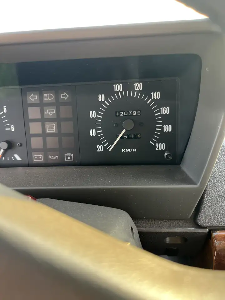 Land Rover Range Rover Classic 3,9L V8 EFI, foto 12