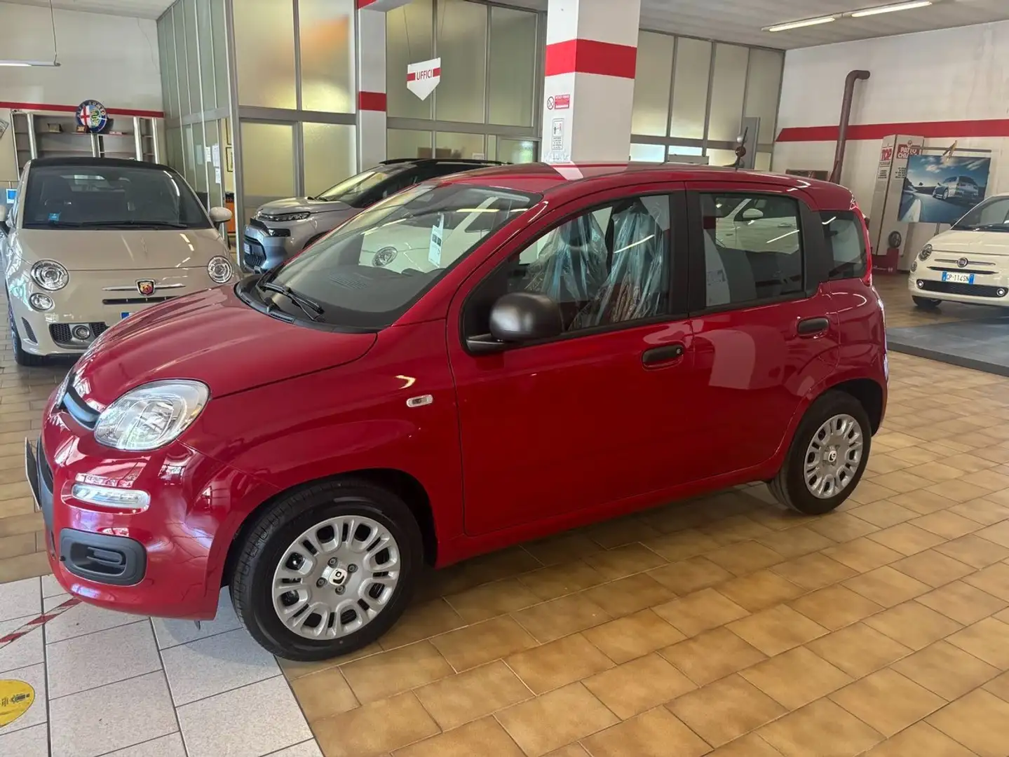 Fiat Panda panda serie 9 Rojo - 2