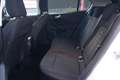 Ford Focus 1.5 EcoBlue Active LED Navi Totwinkel ACC Bianco - thumbnail 8
