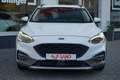 Ford Focus 1.5 EcoBlue Active LED Navi Totwinkel ACC Bianco - thumbnail 3