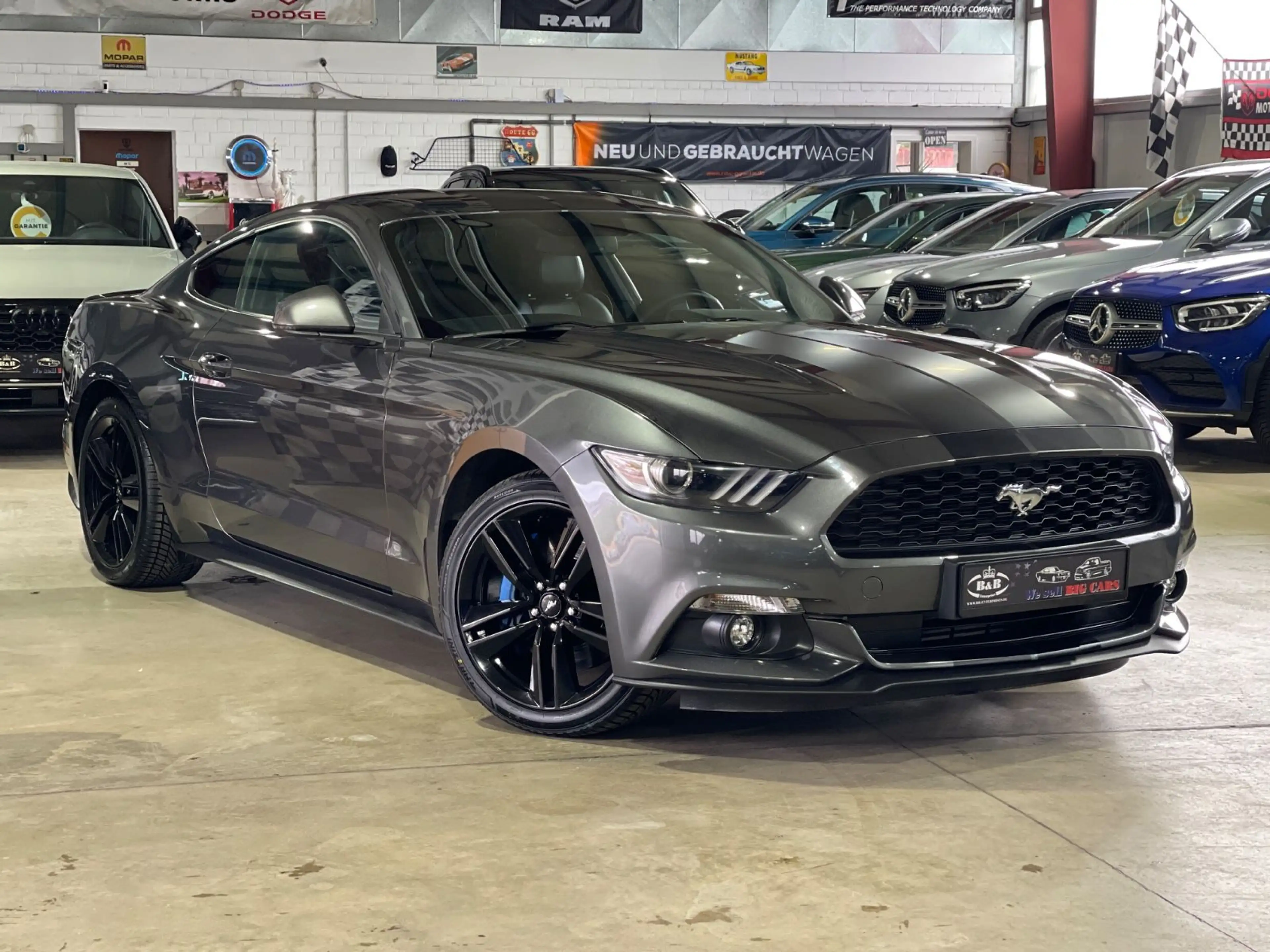 Ford Mustang FASTBACK+DE FAHRZ+UNFALLFREI+KAMERA+SHZ+GARANTIE — photo 5
