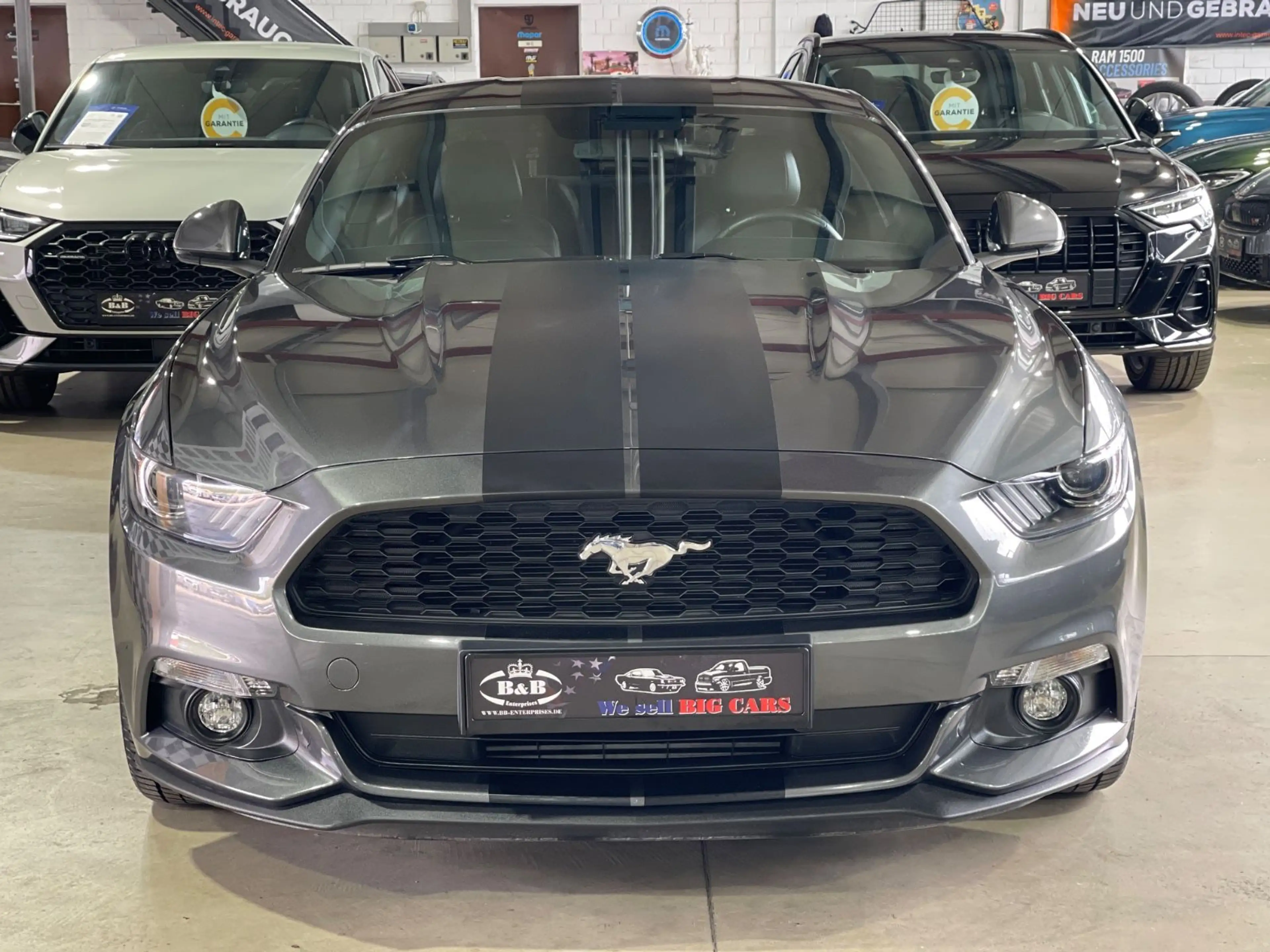Ford Mustang FASTBACK+DE FAHRZ+UNFALLFREI+KAMERA+SHZ+GARANTIE — photo 3