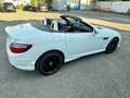 Mercedes-Benz SLK 55 AMG TOPZUSTAND Blanc - thumbnail 14
