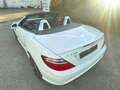 Mercedes-Benz SLK 55 AMG TOPZUSTAND Blanc - thumbnail 11