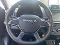 Dacia Spring Essential 45 *Navi *Kamera *Klima *Tempo. Noir - thumbnail 9