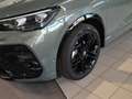 Volkswagen Tiguan R-Line 1,5 eTSI Design-Paket Black St Verde - thumbnail 3
