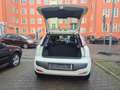 Fiat Punto Evo Dynamic /TÜV NEU/ GARANTIE 24 Weiß - thumbnail 6