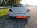 Peugeot 508 508 BlueHDi 150 Stop Білий - thumbnail 4