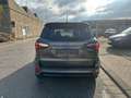 Ford EcoSport ST-Line *Zahnriemen neu+Inspektion neu* Gris - thumbnail 5
