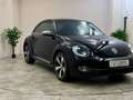 Volkswagen Beetle __KÄFER__FENDER __ BI Xenon __PDC__ Schwarz - thumbnail 4