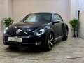 Volkswagen Beetle __KÄFER__FENDER __ BI Xenon __PDC__ Schwarz - thumbnail 8