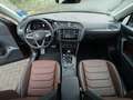 Volkswagen Tiguan Elegance TDI DSG 4Motion Leder AHK Pano Braun - thumbnail 5