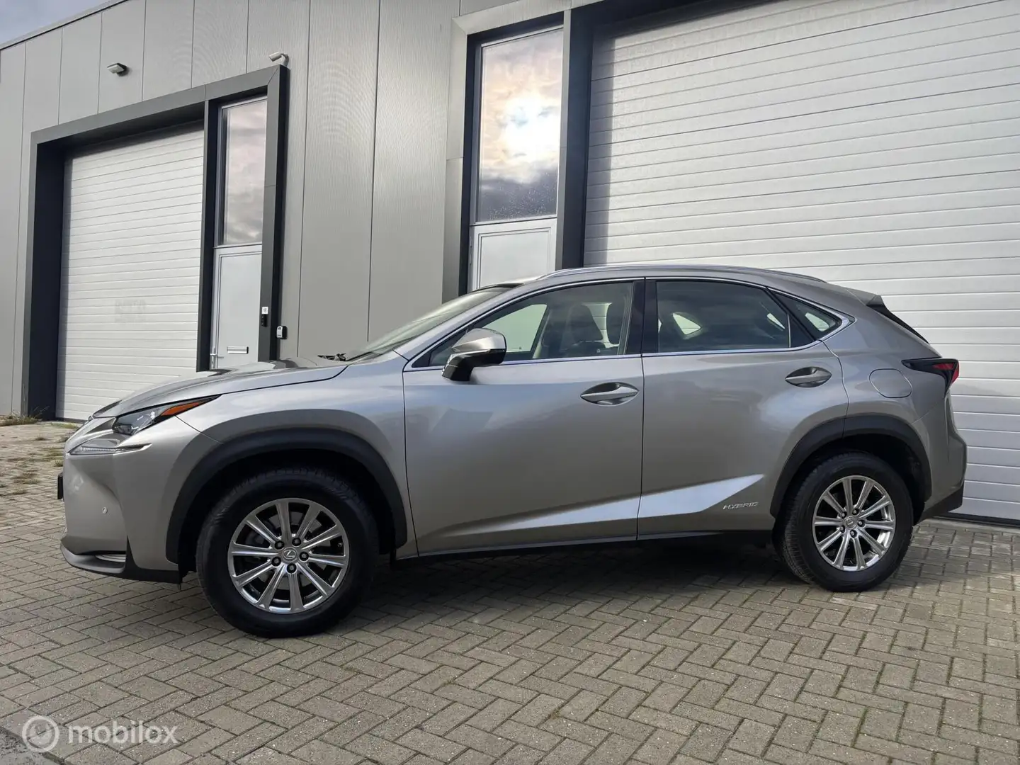 Lexus NX 300h AWD Luxury Line Gris - 2