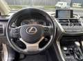 Lexus NX 300h AWD Luxury Line Grijs - thumbnail 7