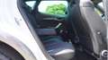 CUPRA Formentor 2.0 TSI DSG 4Drive LED Kamera Sitzheizun Blanc - thumbnail 12