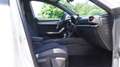 CUPRA Formentor 2.0 TSI DSG 4Drive LED Kamera Sitzheizun Blanc - thumbnail 11