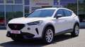 CUPRA Formentor 2.0 TSI DSG 4Drive LED Kamera Sitzheizun Blanc - thumbnail 2