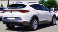 CUPRA Formentor 2.0 TSI DSG 4Drive LED Kamera Sitzheizun Blanc - thumbnail 6