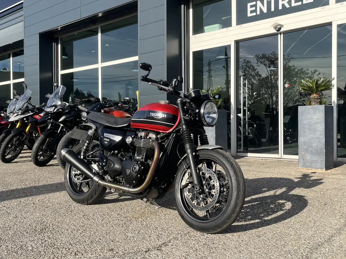 Triumph Speed Twin Rouge - 2