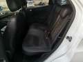 Ford EcoSport 1.0 EcoBoost 125 CV Start&Stop ST-Line Blanc - thumbnail 14