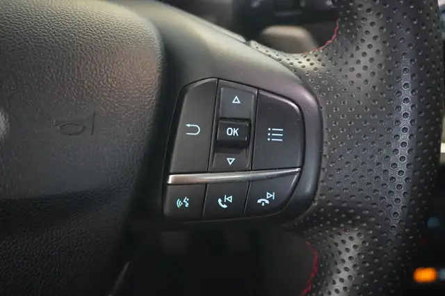Ford Puma view 13