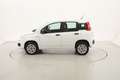 Fiat Panda Easy 0.9 Metano 85CV Bianco - thumbnail 2